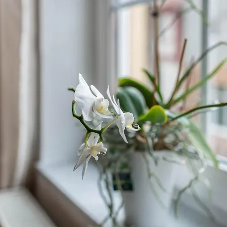 Aposto 2 Apartment *