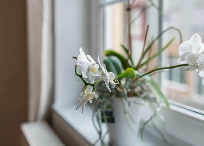 Aposto 2 Apartamento *